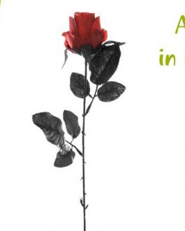 BLACK ROSE W/RED 43CM