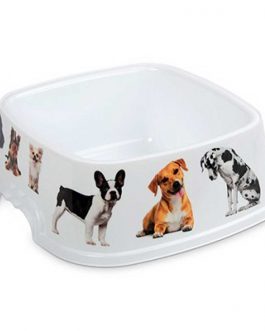 PET PLATE W/PICTURES SQUARE 1.60L