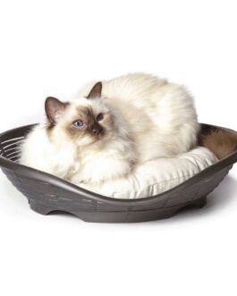 Cat Bed w/cushion