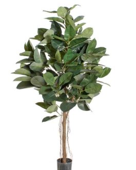 RUBBER PLANT TREE  H180CM  W/174 LEAVES