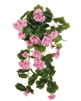 GERANIUM HANGING BUSH X9 62CM PINK