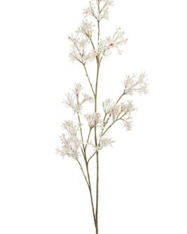 PETREA VOLUBILIS LONG BRANCH 154CM CREAM