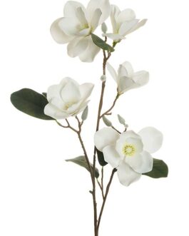 ED PRINTING R.T.MAGNOLIA BRANCH WHITE