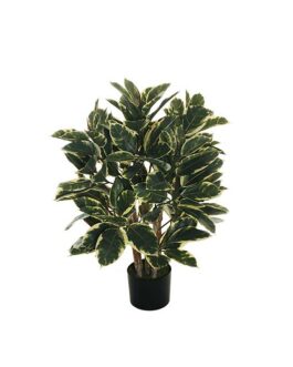 RUBBER PLANT TREE H90CM W/140 LEAVES