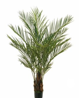 PHOENIX PALM PLANT 180CM W/702LVS GREEN