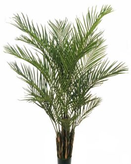 PHOENIX PALM PLANT 210CM W/978LVS GREEN