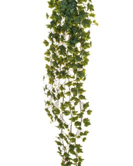 IVY HANGING BUSCH X12 W/412 R.T.LVS