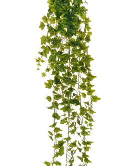 IVY HANGING BUSCH X12 W/412 R.T.LVS