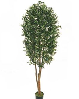 OLIVE TREE 210CM W/5712LVS GREEN