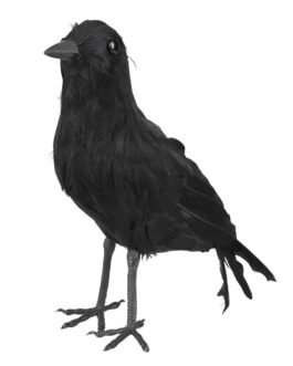 RAVEN BLACK 23X10CM