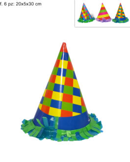 PARTY HAT  6PCS