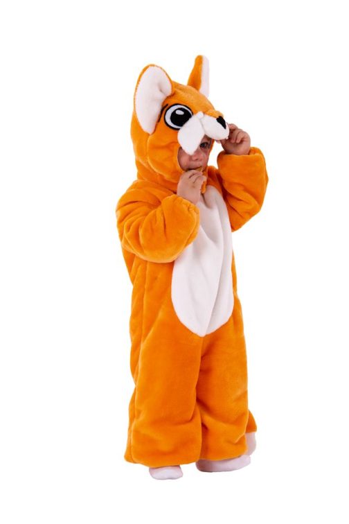 COSTUME BEBE FOX